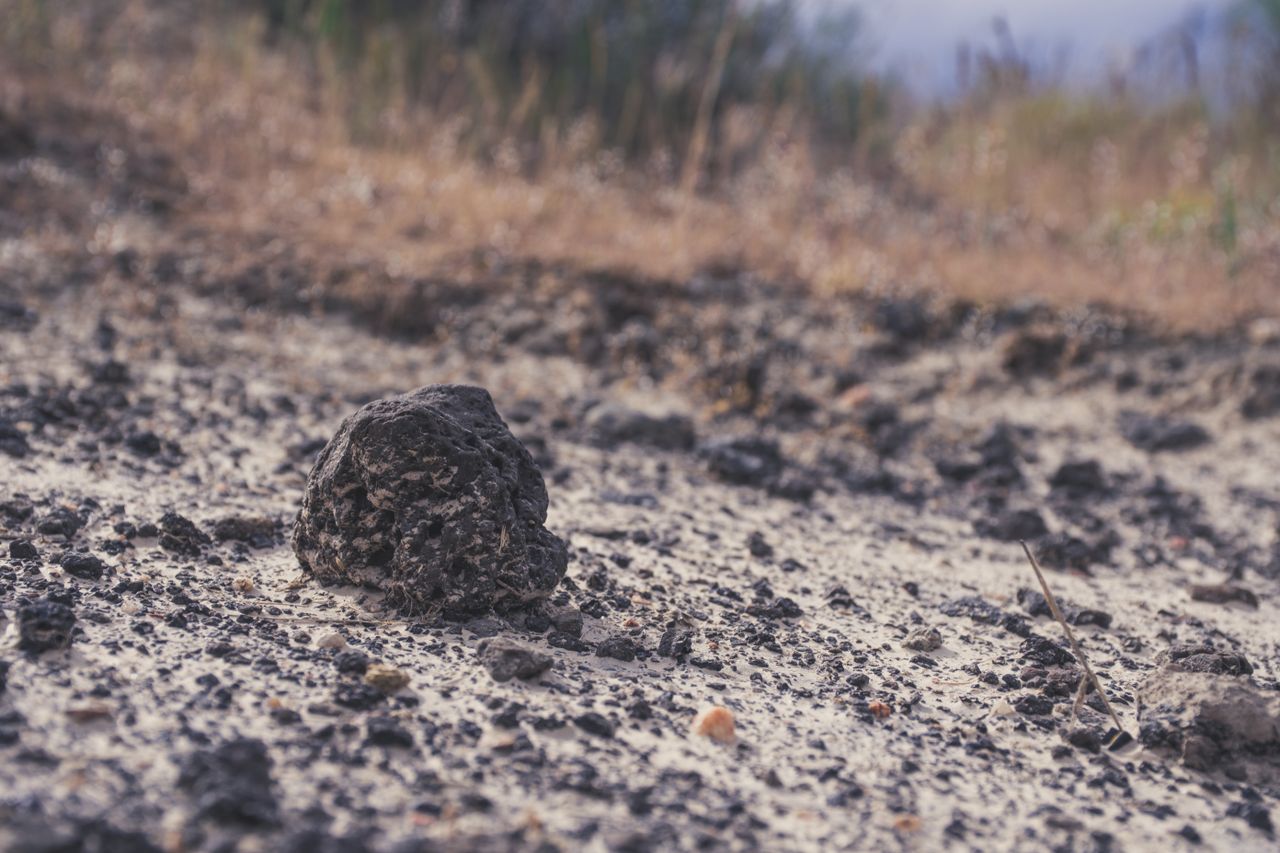 A detailed view of rocks scattered across a dry desert terrain with blurred background.